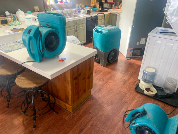 Best 24-hour water damage restoration  in Corpus Christi, TX