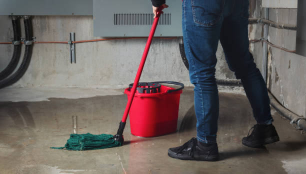  Corpus Christi, TX Water damage restoration Pros