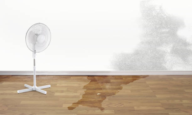 Best Emergency water damage restoration  in Corpus Christi, TX